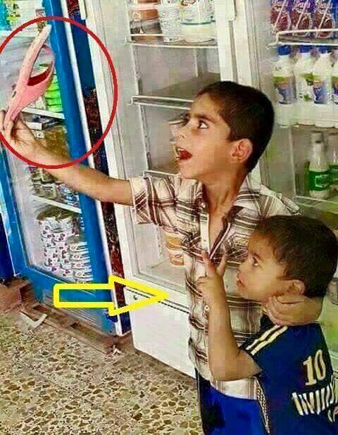 12006164_616676375102731_377192037429727129_n