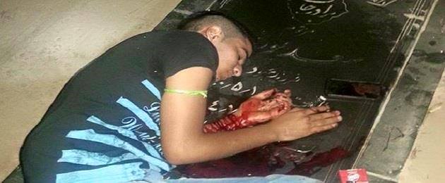 12074945_445656028977560_2574132688297233575_n