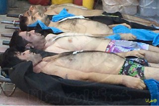 425408705_78942_4540867705402470324