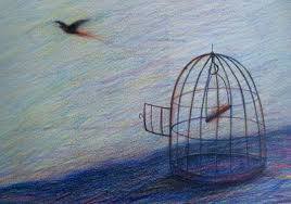 14292244_1825076557721486_5782562464698366814_n