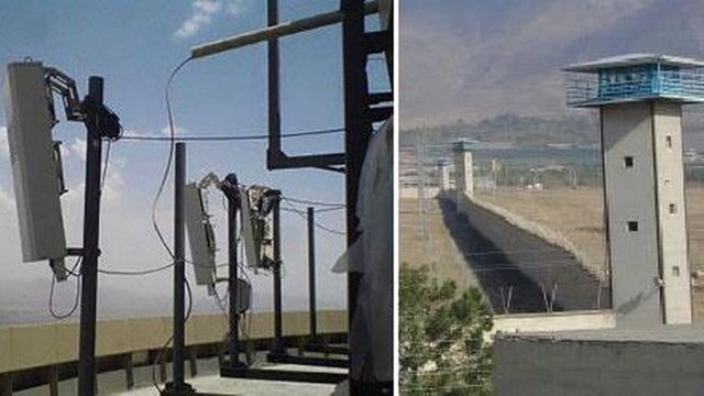 parazit-dar-zendanha